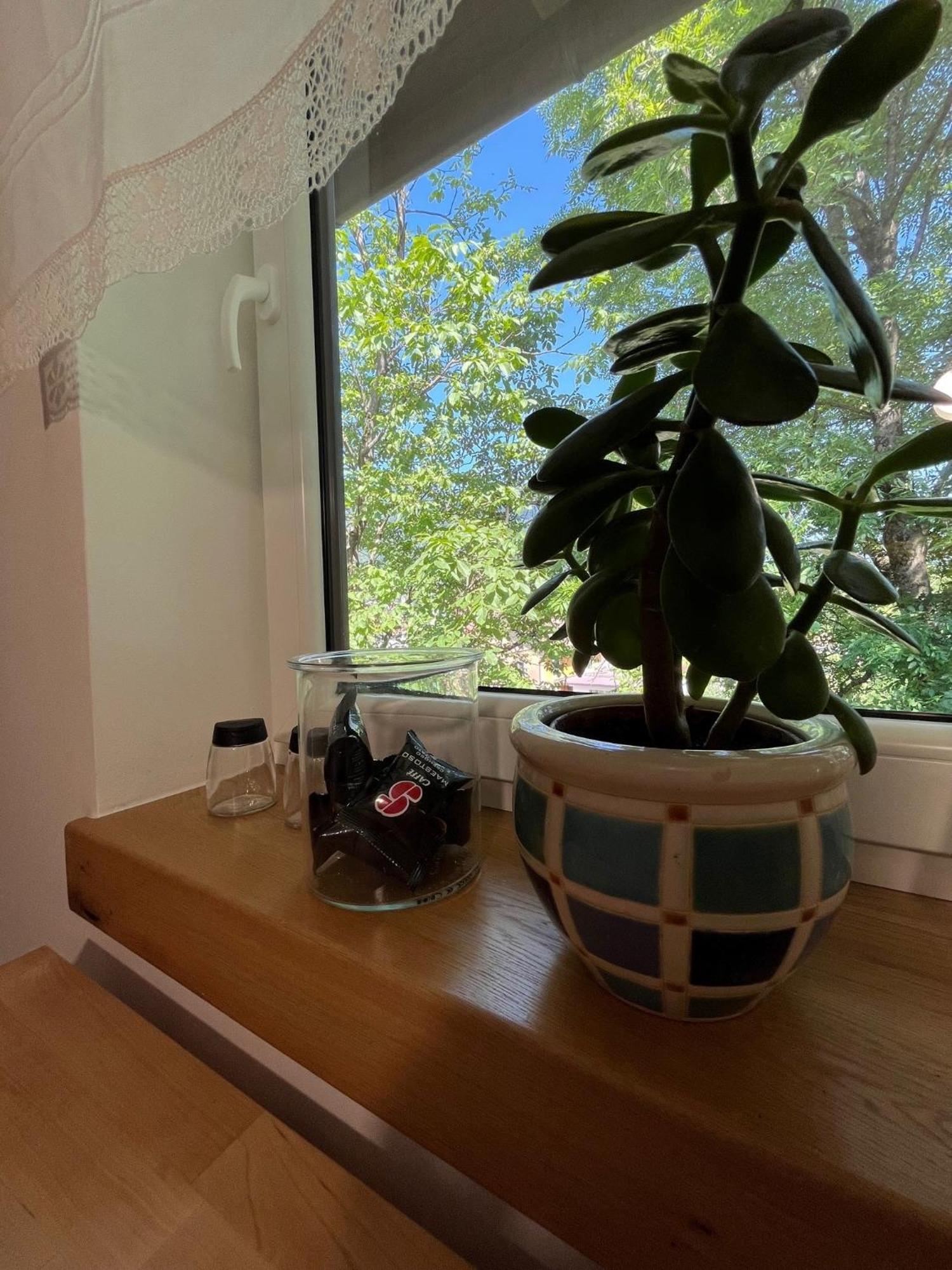 Azimut Hisa Apartman Tolmin Kültér fotó
